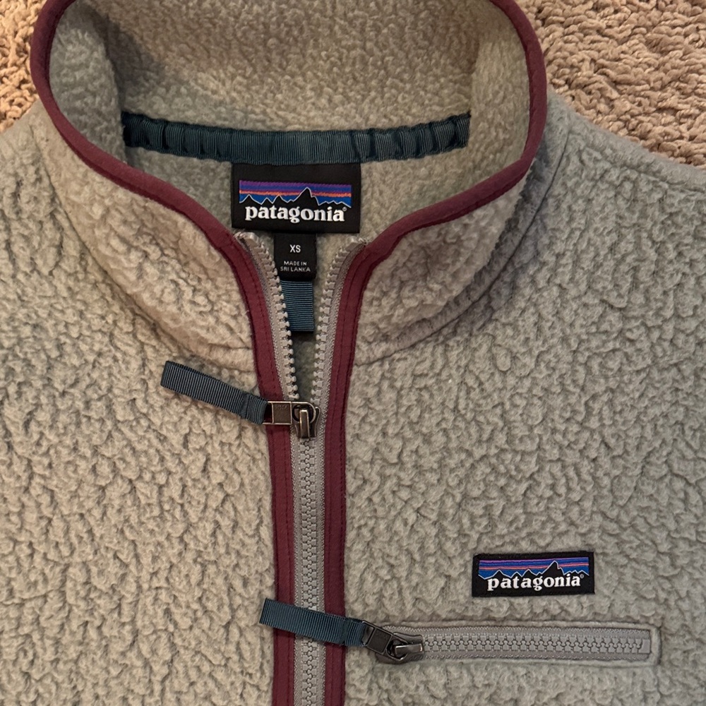 Patagonia Gray and Purple Fleece Jacket